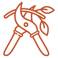 secateurs