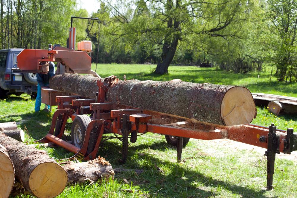 Broyage d'arbre près de Maël-Carhaix