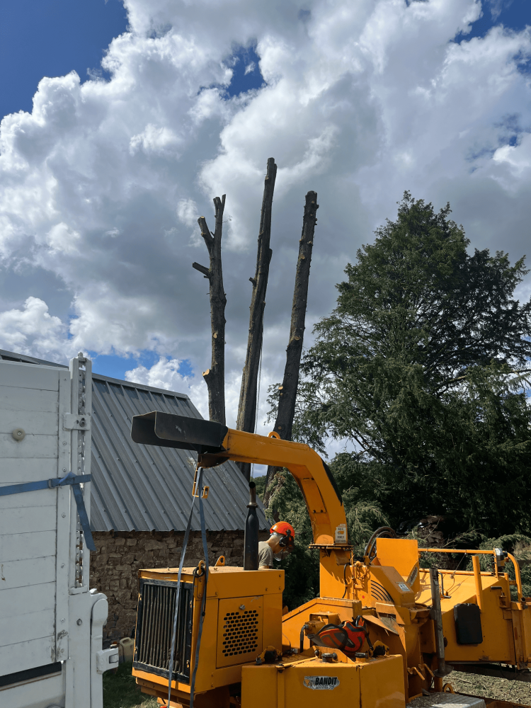 revalorisation - evacuation des dechets 1
